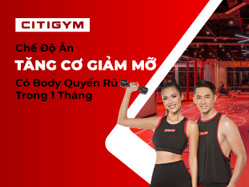 Tập gym và chế độ ăn uống dành cho gymers muốn tăng cơ giảm mỡ