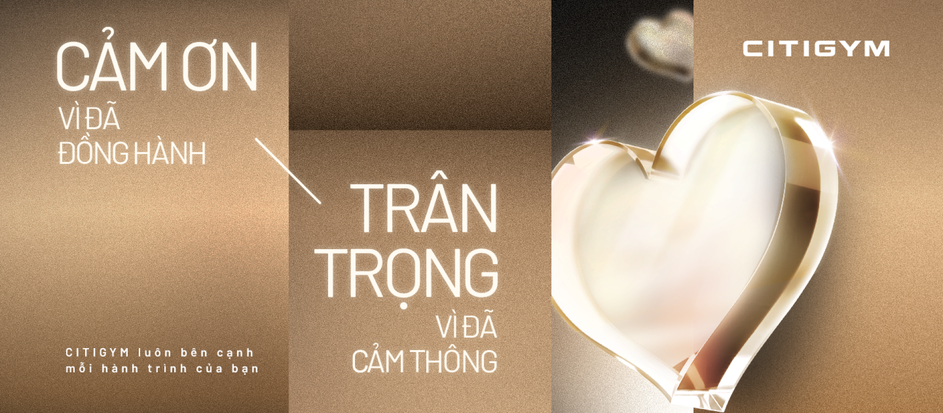 Cảm ơn - Trân trọng