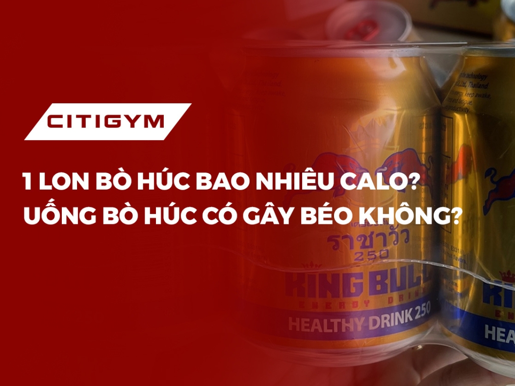 1 lon bò húc bao nhiêu calo? Uống bò húc có gây béo không?