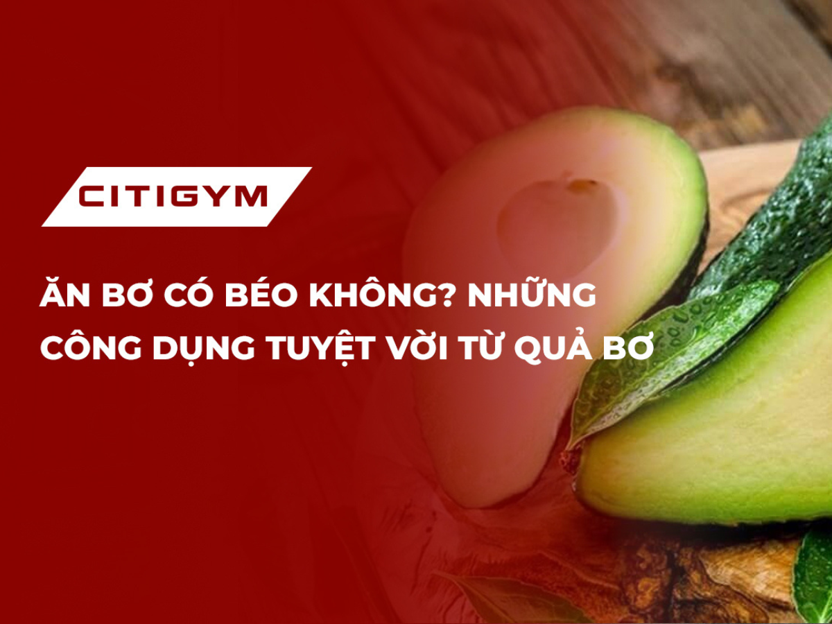 Ăn bơ có béo không? Những công dụng tuyệt vờI từ quả bơ