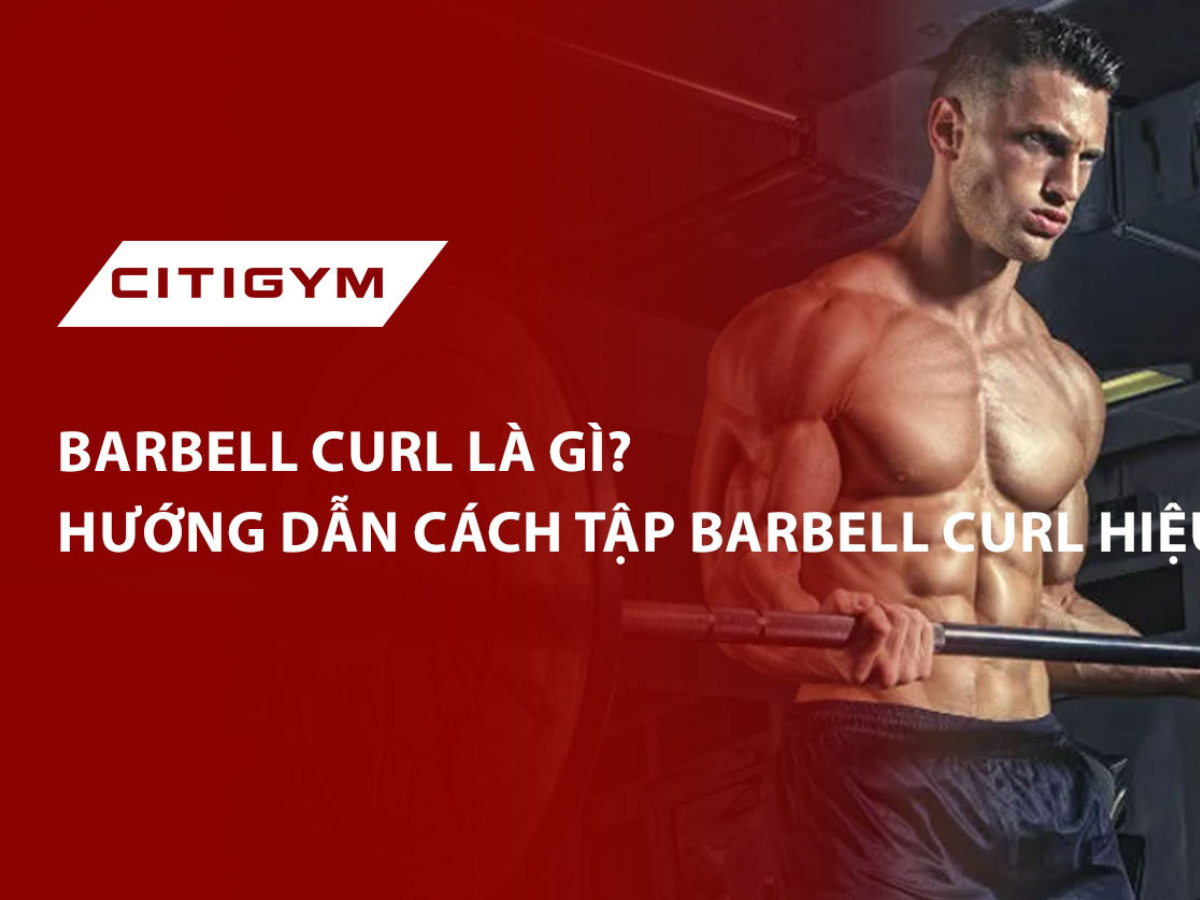 Barbell curl là gì? Hướng dẫn cách tập barbell curl hiệu quả