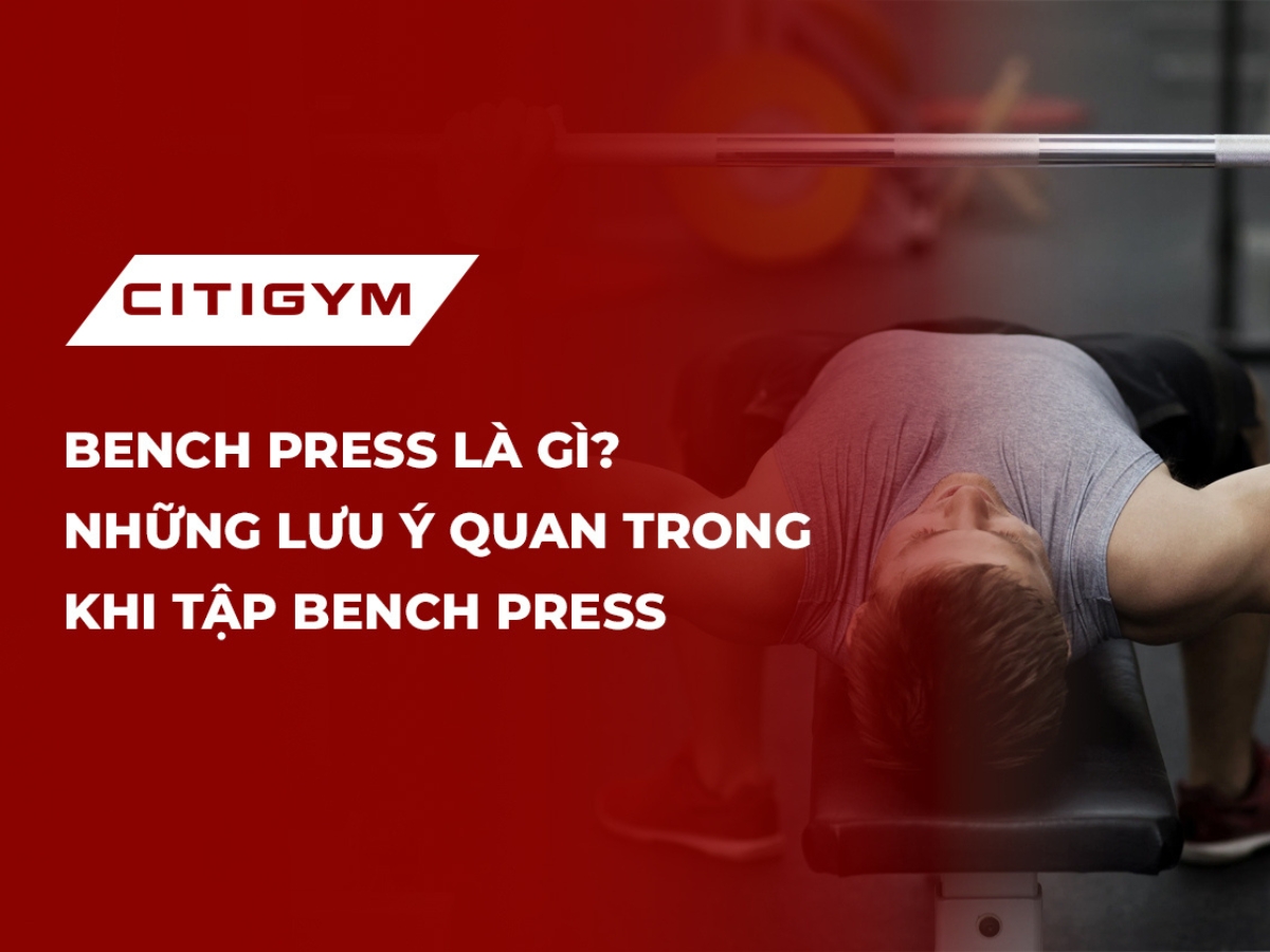 Bench press là gì? Những lưu ý quan trong khi tập Bench Press