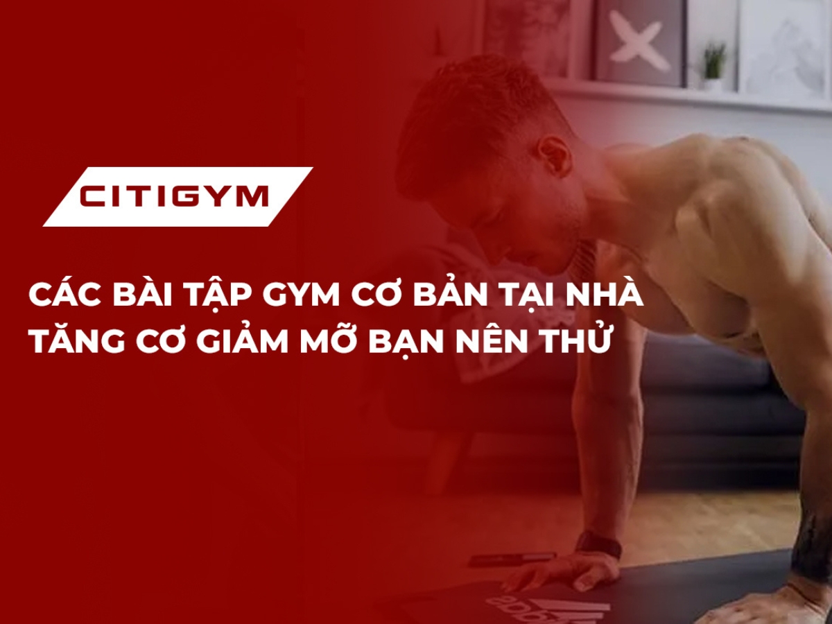 Các bài tập gym cơ bản tại nhà tăng cơ giảm mỡ bạn nên thử