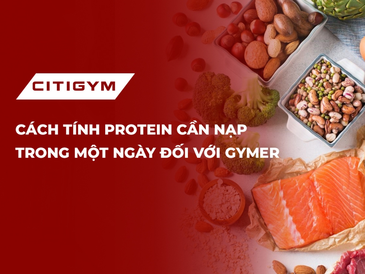 Cách tính protein cần nạp trong một ngày đối với gymer