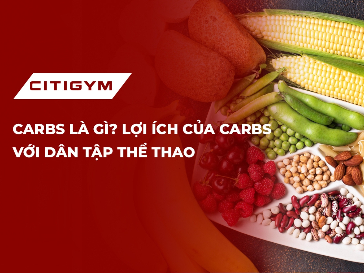 Carbs là gì? Lợi ích của carbs với dân tập thể thao