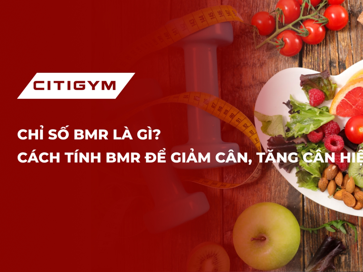 Chỉ Số Bmr Là Gì? Cách Tính Bmr Để Giảm Cân, Tăng Cân Hiệu Quả