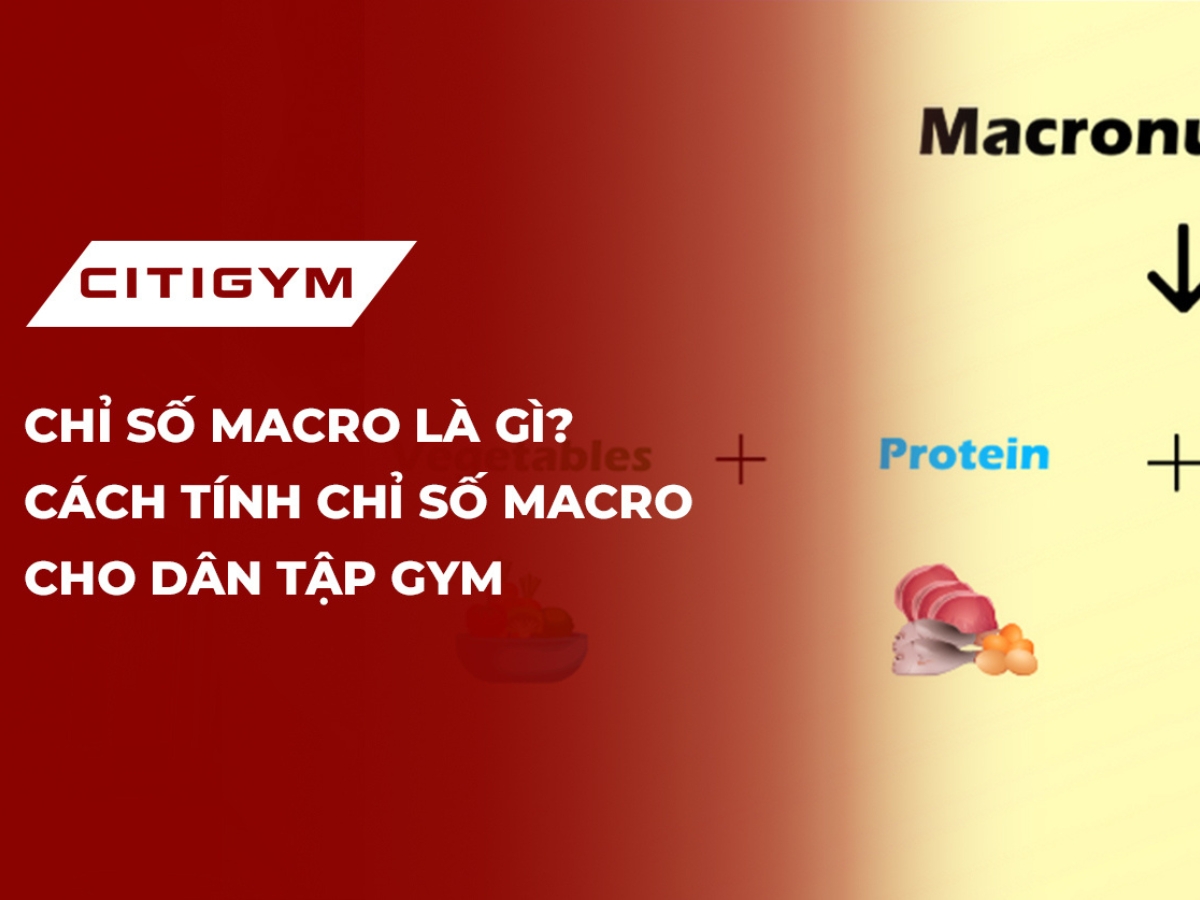 Chỉ số Macro là gì? Cách tính chỉ số Macro cho dân tập gym