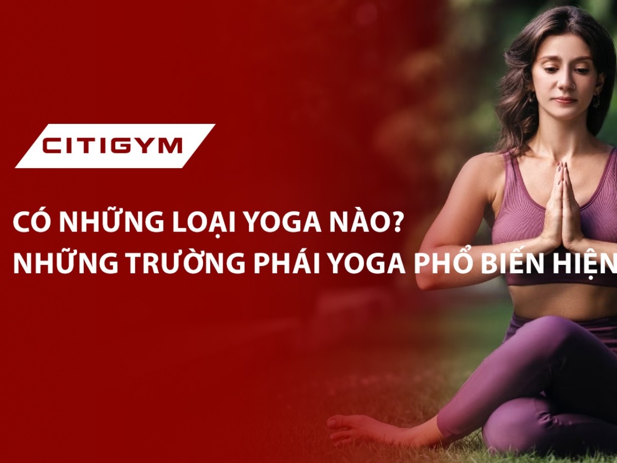 Có những loại yoga nào? Những trường phái yoga phổ biến hiện nay