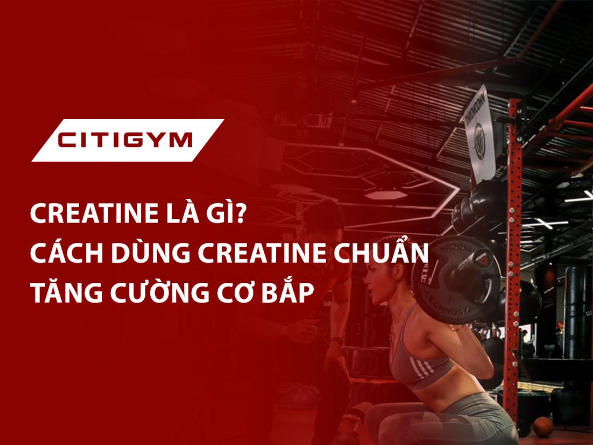 Creatine là gì? Cách dùng Creatine chuẩn tăng cường cơ bắp