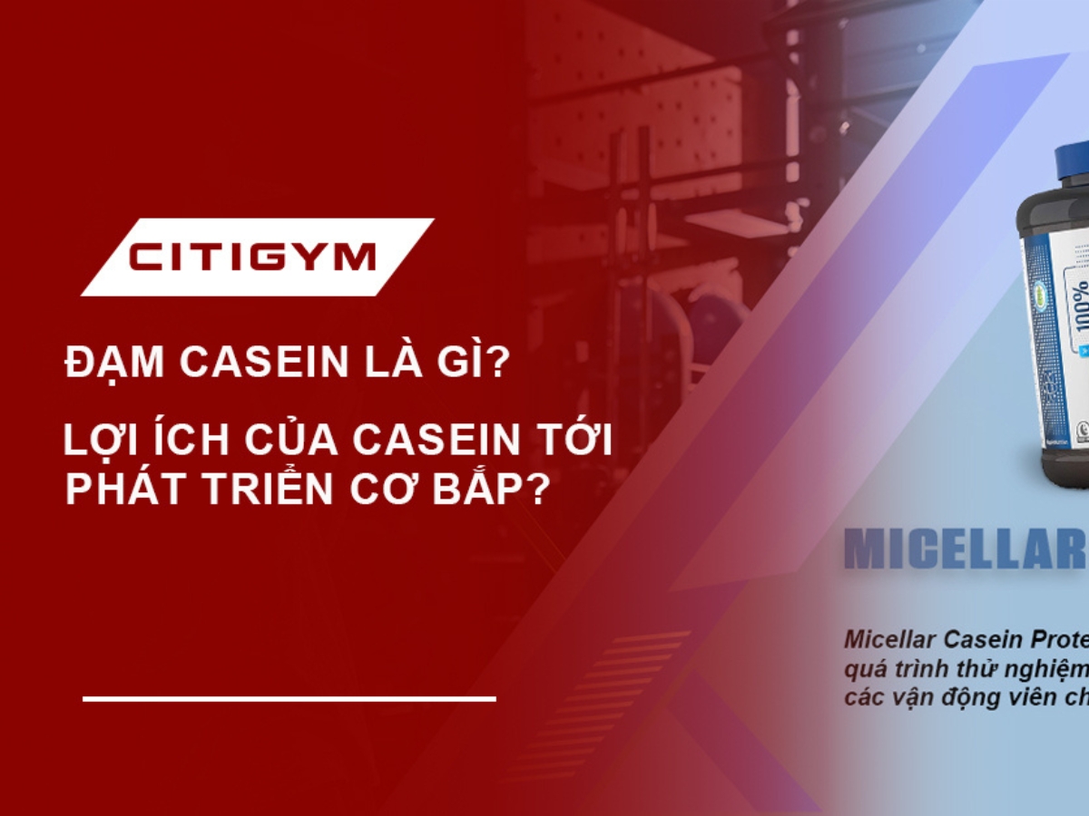 Đạm Casein là gì? Lợi ích của Casein tới phát triển cơ bắp