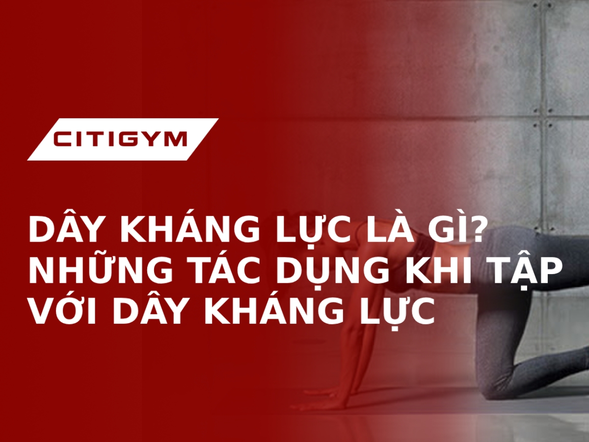 Dây Kháng Lực Là Gì? Những Tác Dụng Khi Tập Với Dây Kháng Lực