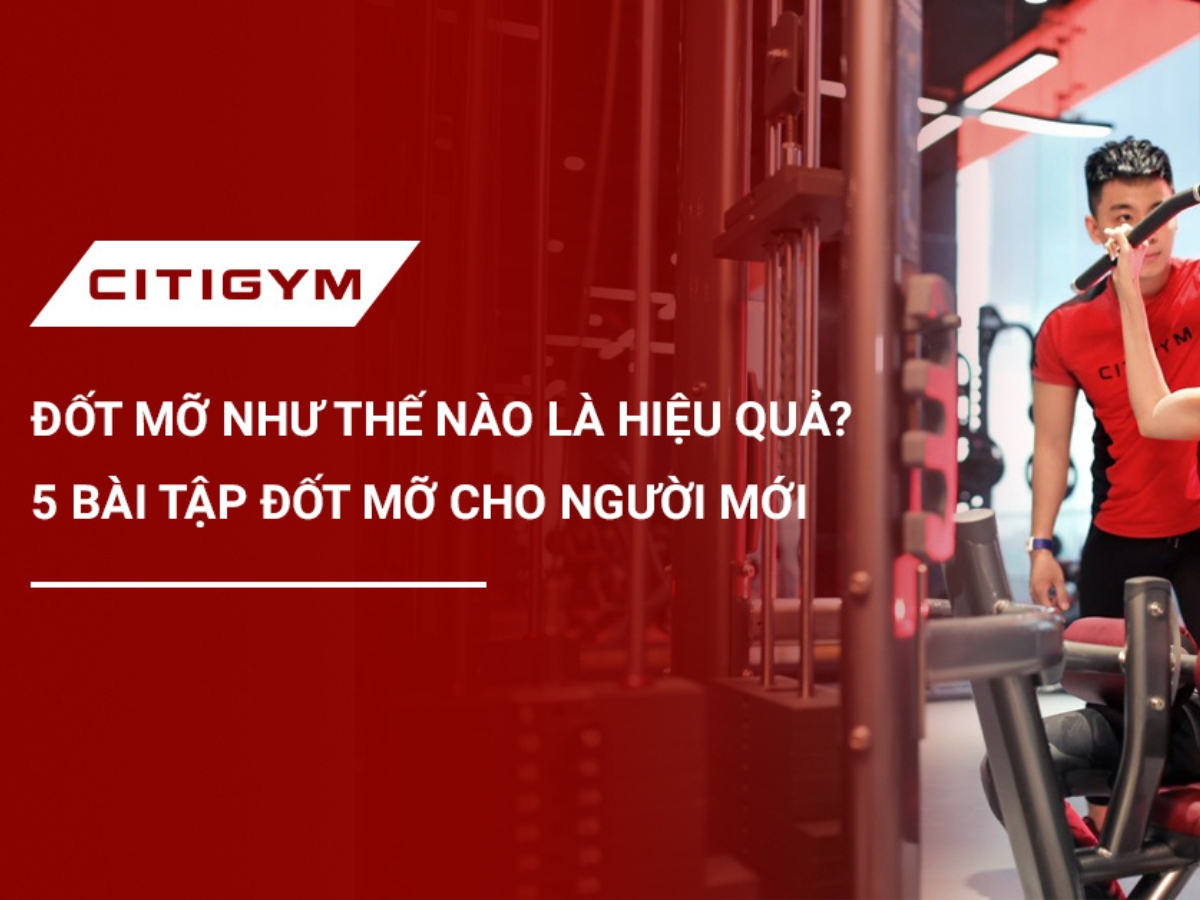 Đốt mỡ như thế nào là hiệu quả? 5 bài tập đốt mỡ cho người mới