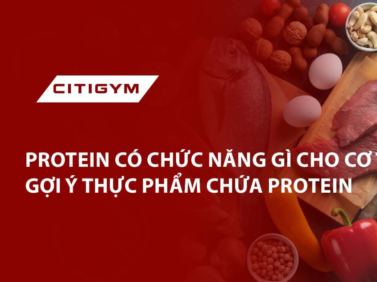 Protein Có Chức Năng Gì Cho Cơ Thể? Gợi Ý Thực phẩm chứa Protein