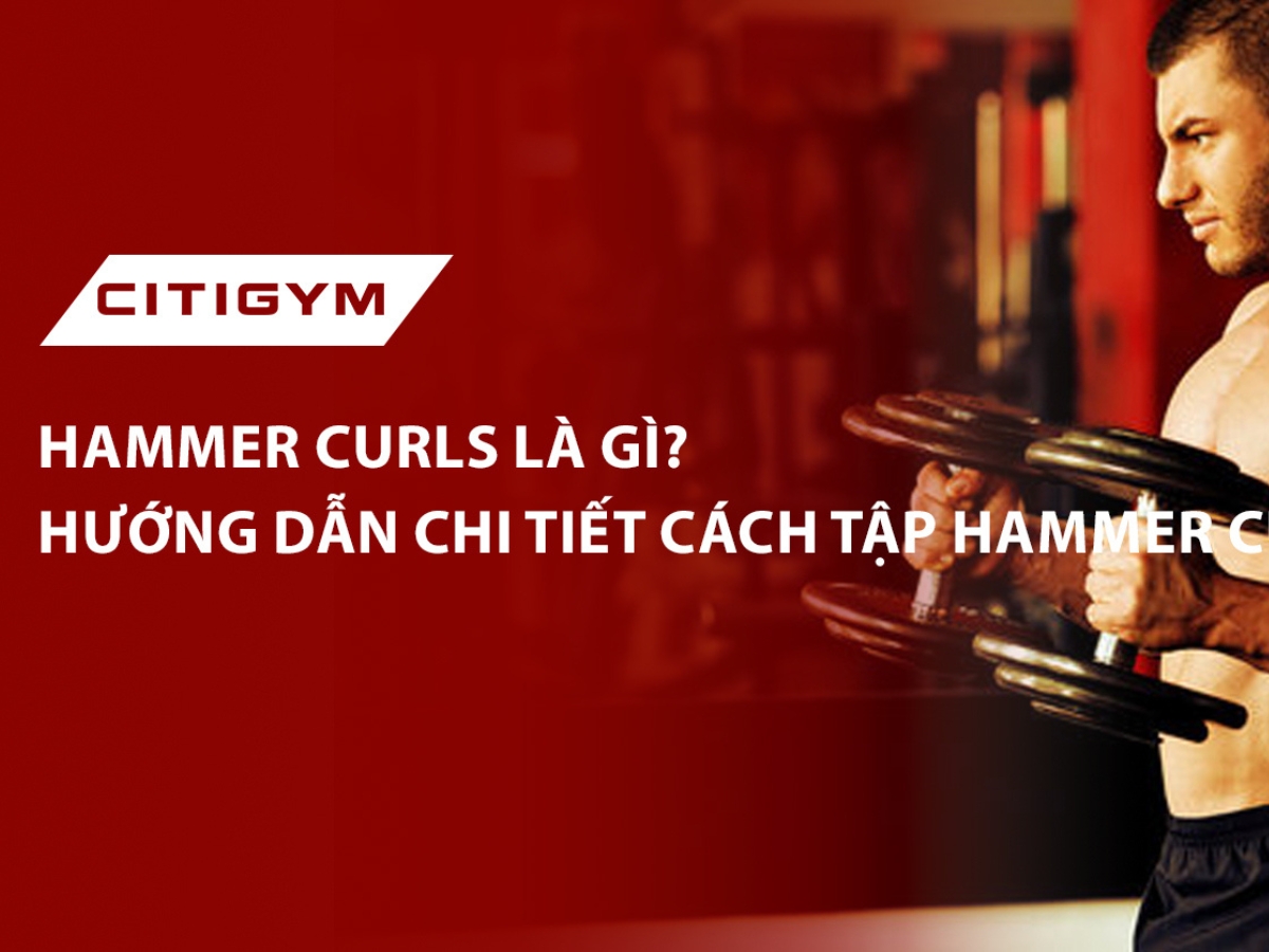 Hammer curls là gì? Hướng dẫn chi tiết cách tập Hammer curls hiệu quả