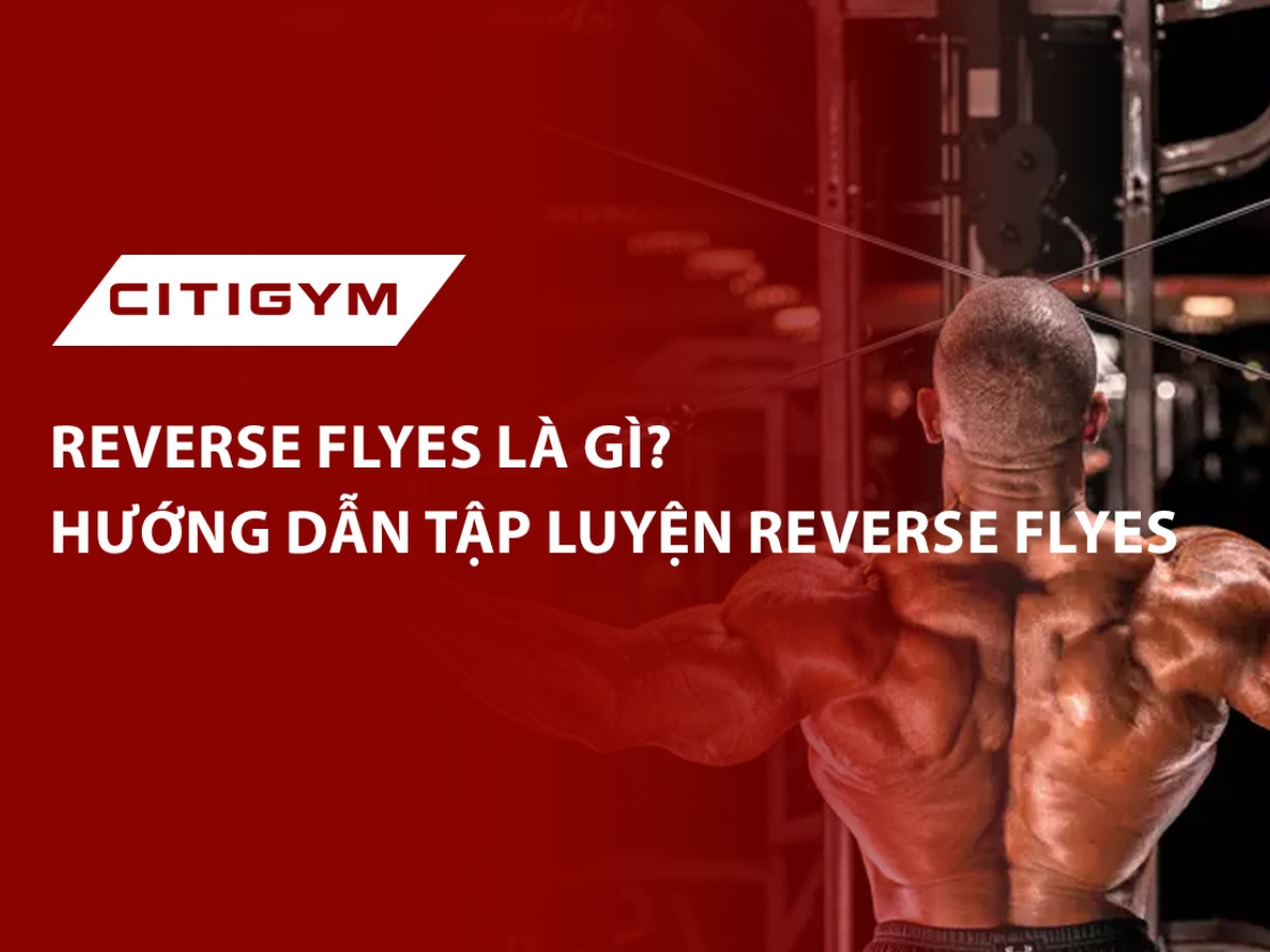 Reverse Flyes là gì? Hướng dẫn tập luyện Reverse Flyes