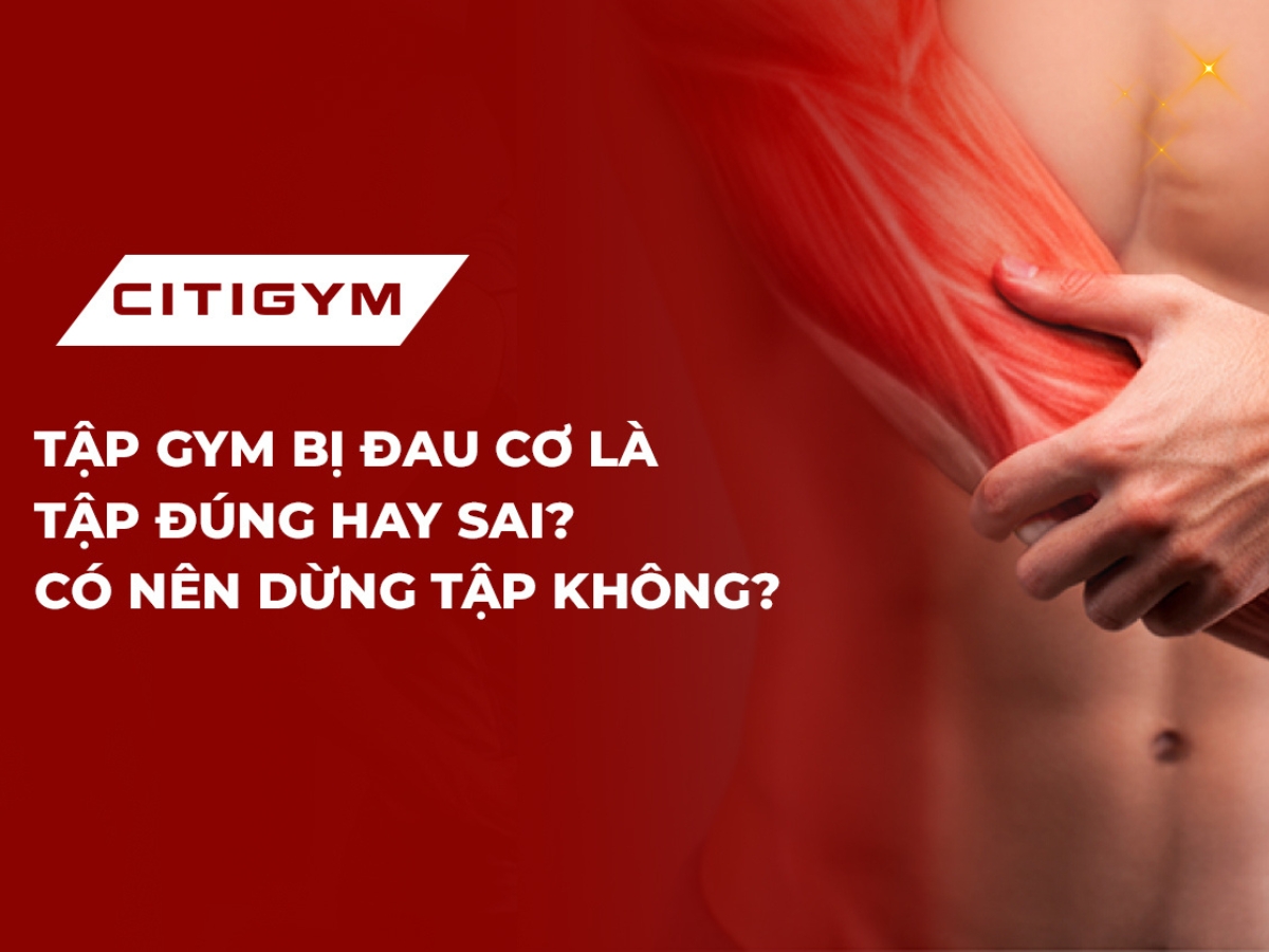 Tập Gym bị đau cơ là tập đúng hay sai? Có nên dừng tập không?