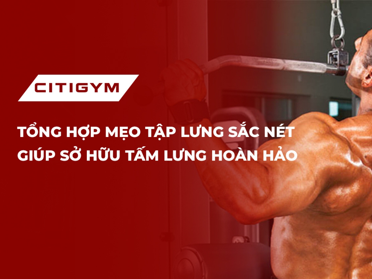 Tổng hợp mẹo tập lưng sắc nét giúp sở hữu tấm lưng hoàn hảo