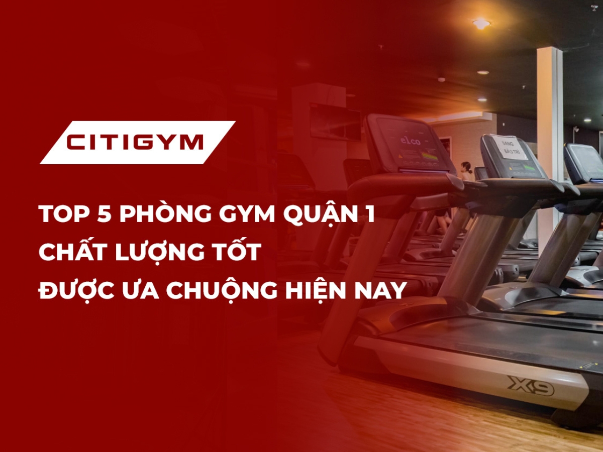 Top 5 phòng gym quận 1 chất lượng tốt được ưa chuộng hiện nay