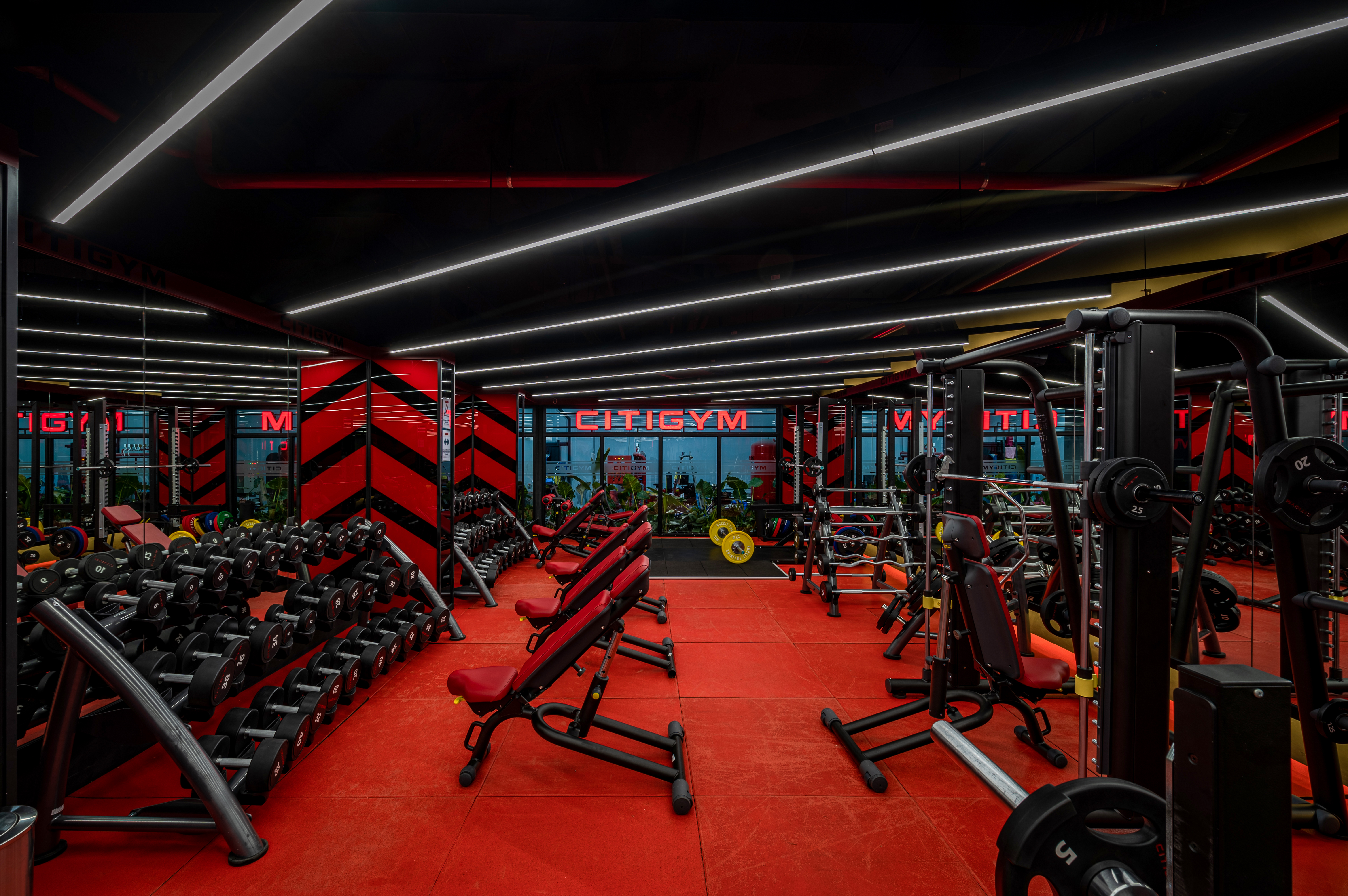 Địa điểm giải trí Quận 4: Top sân thể thao & vui chơi vận động cuối tuần