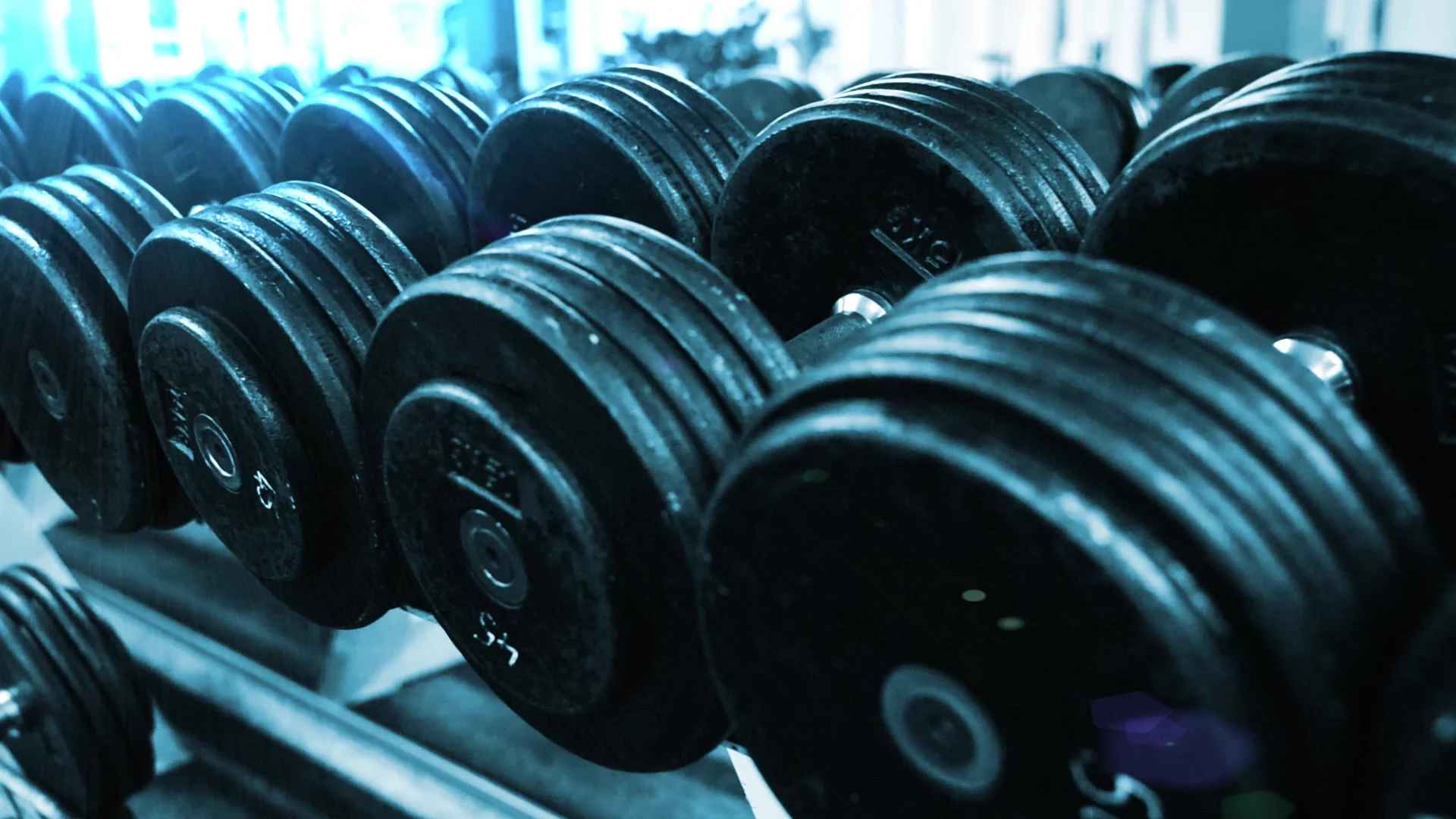 Hướng dẫn tập gym đúng cách tại CITIGYM