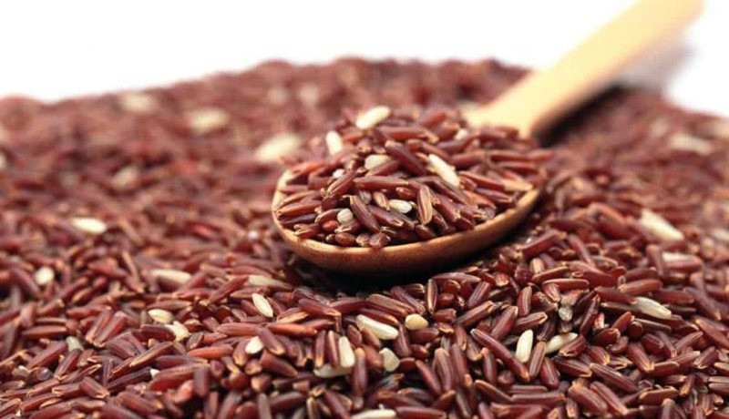 Gạo lứt là nguồn năng lượng bền vững giúp bạn duy trì sức bền trong khi tập và hỗ trợ phục hồi sau buổi tập