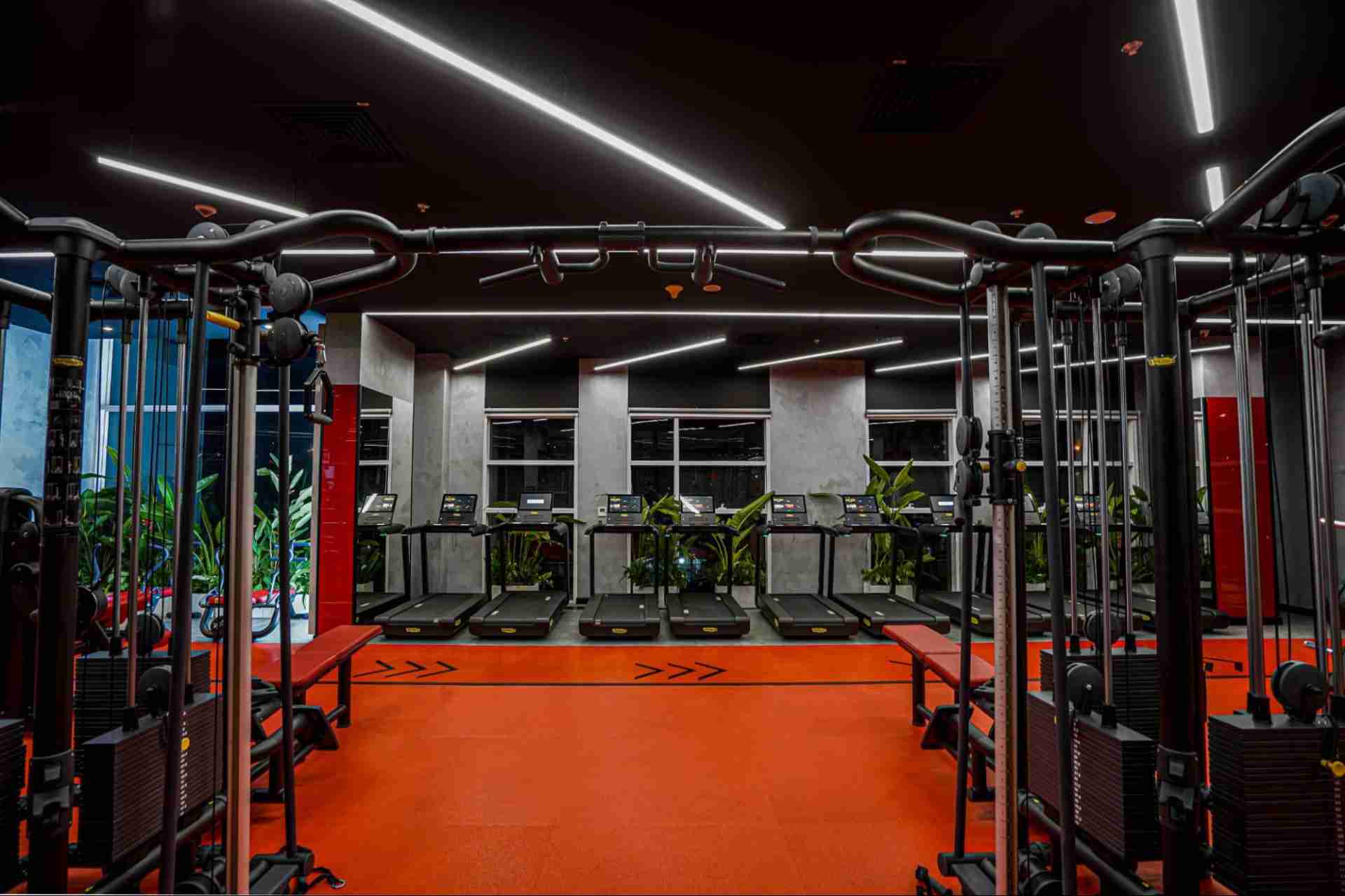 Tổng hợp những thiết bị tập luyện cơ bản có tại phòng gym
