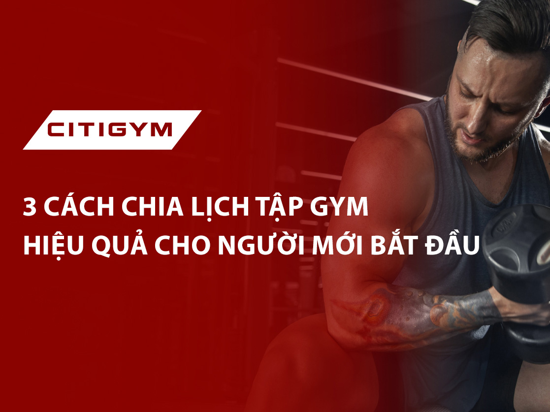 3 cách chia lịch tập gym hiệu quả cho người mới bắt đầu