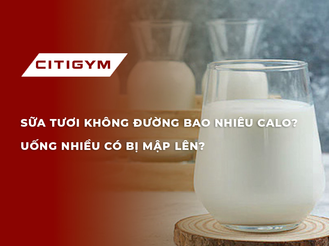 Sữa tươi không đường bao nhiêu calo? Uống nhiều có bị mập lên?