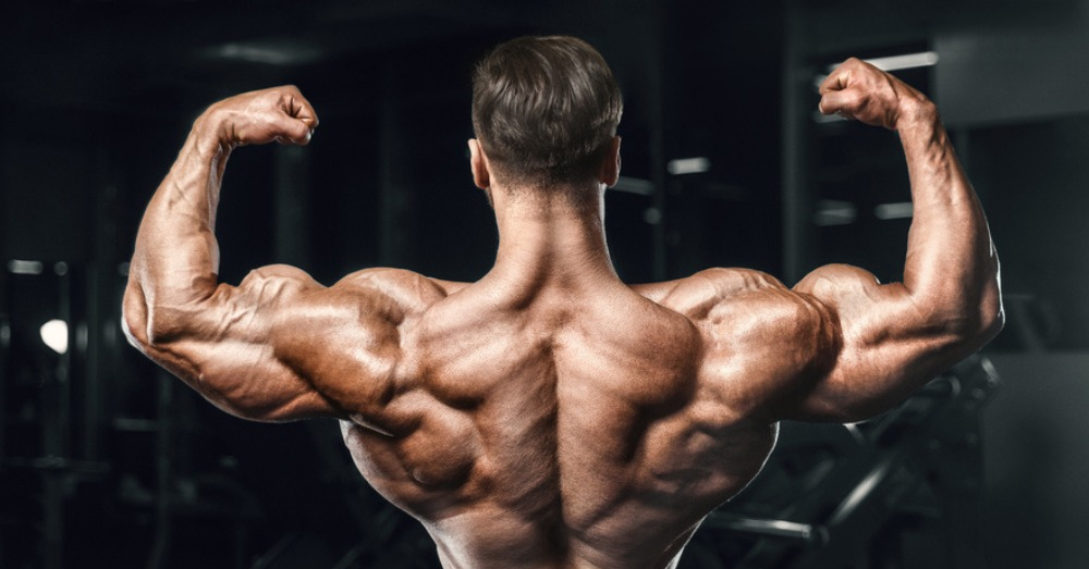 Lợi ích của bodybuilding