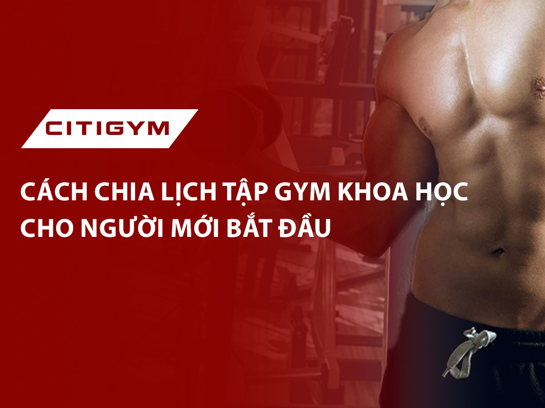 Cách chia lịch tập gym khoa học cho người mới bắt đầu