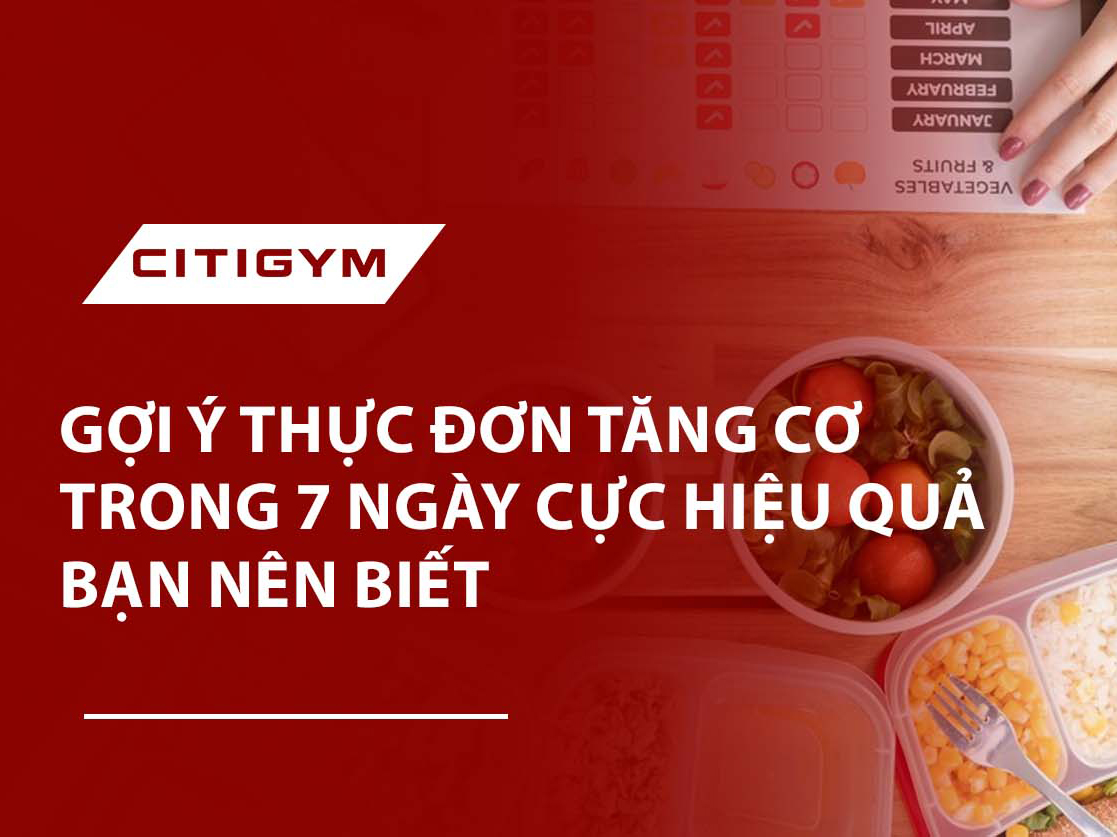 Gợi ý thực đơn tăng cơ trong 7 ngày cực hiệu quả bạn nên biết