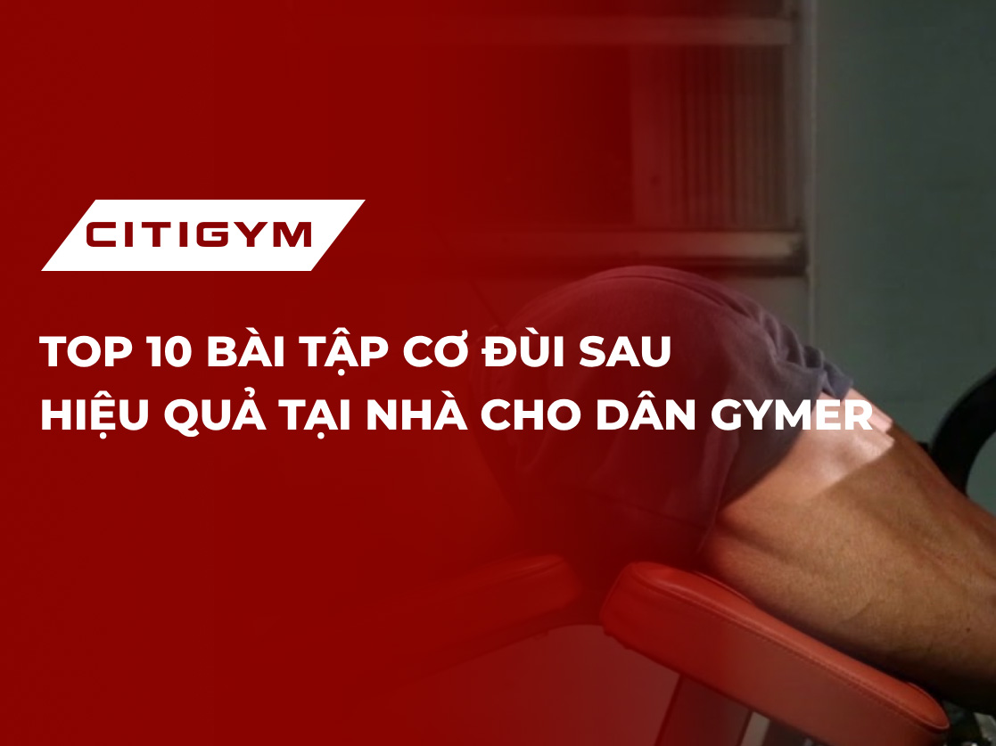 Top 10 bài tập cơ đùi sau hiệu quả tại nhà cho dân gymer