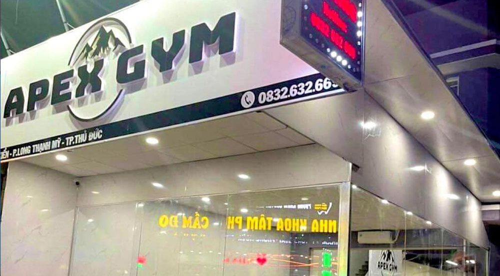 APEX GYM