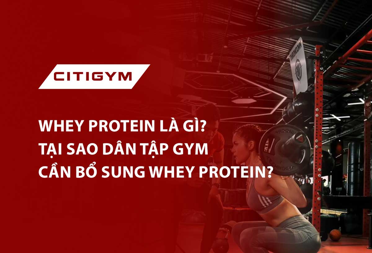 Whey Protein là gì? Tại sao dân tập GYM cần bổ sung Whey Protein