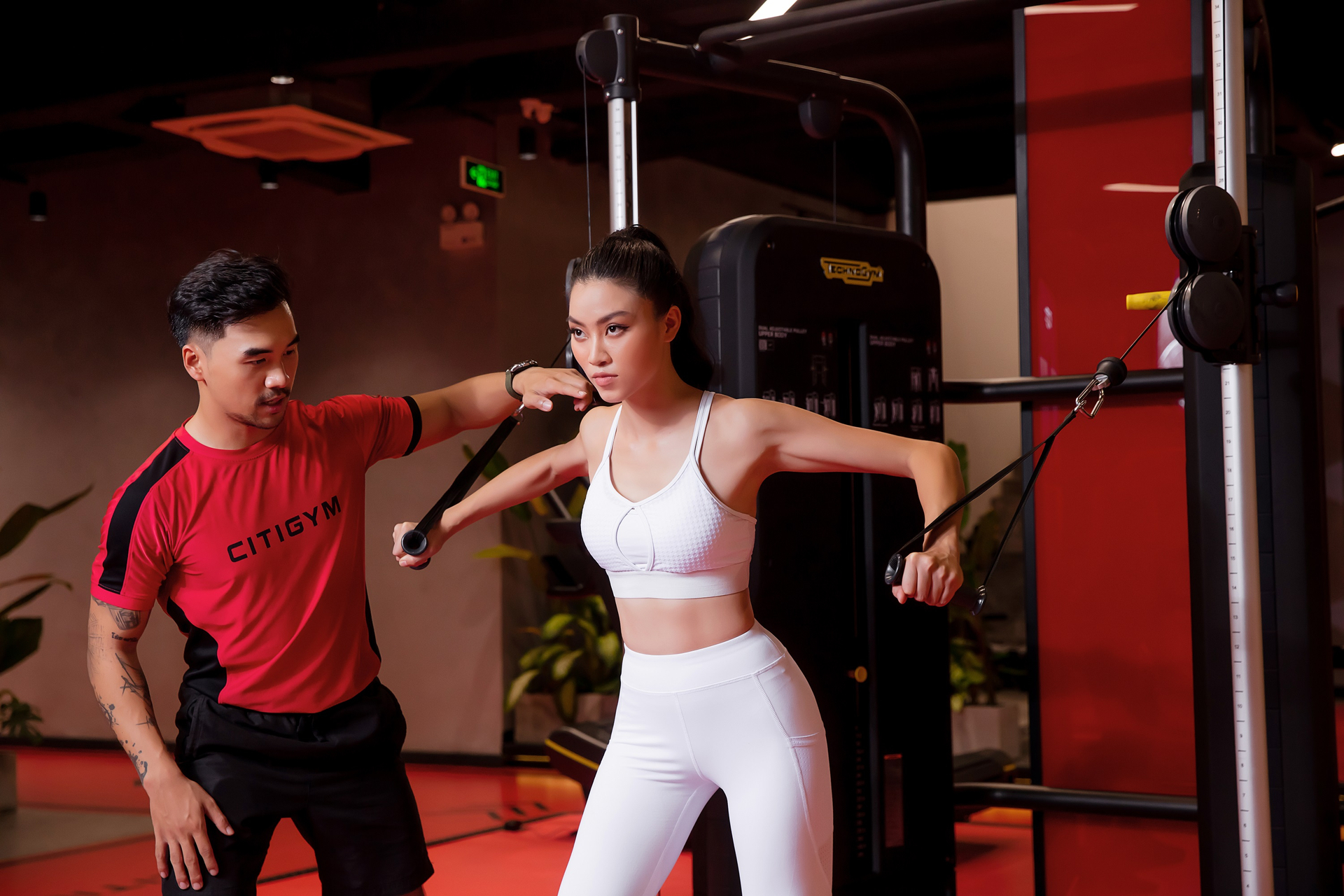 hướng-dẫn-người-ăn-chay-tập-gym